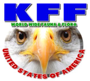 Home - KFF